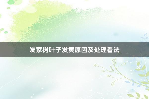 发家树叶子发黄原因及处理看法