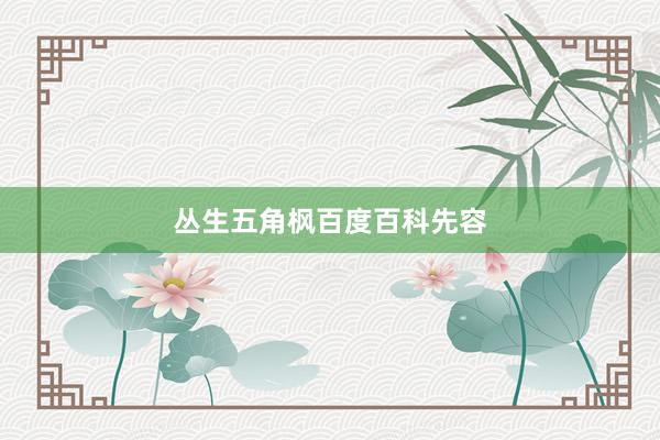 丛生五角枫百度百科先容