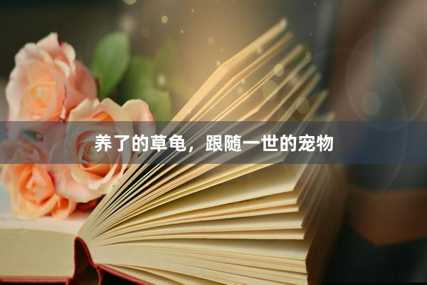 养了的草龟，跟随一世的宠物